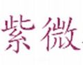 Chinese Fortune Teller