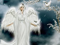 The Love Seer